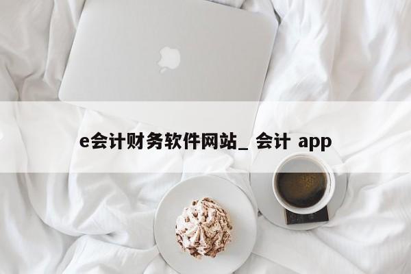 e会计财务软件网站_ 会计 app